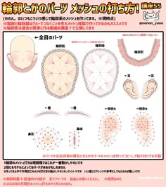 an image of various types of human body parts in english and japanese characters are shown