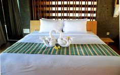 two towel swans on a bed in a hotel room