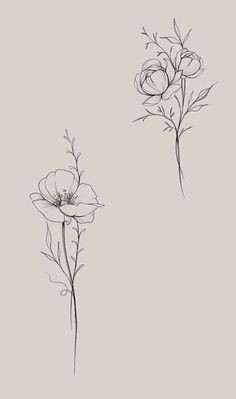 two flowers are shown in black and white on a light gray background, one is drawn by hand