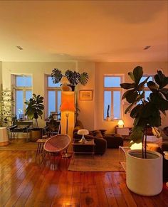 a living room filled with furniture and potted plants on top of hard wood floors