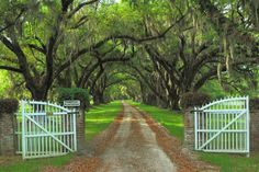 a dirt road with white gates and trees