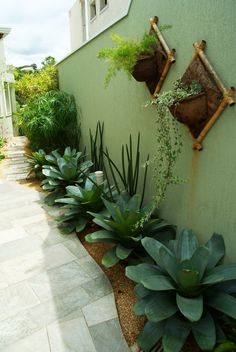 some plants that are on the side of a building