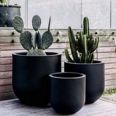 three potted plants sitting on top of a wooden table next to each other in front of a window