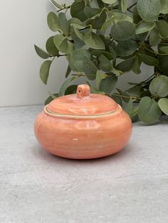 an orange bowl sitting on top of a table next to a bush with green leaves