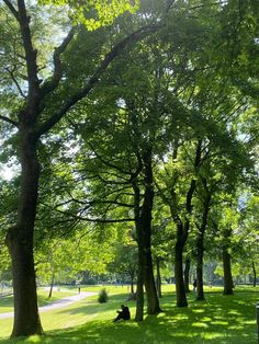 the sun shines through the trees in this park