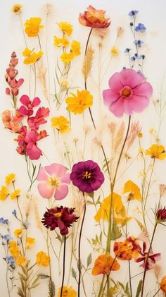 an arrangement of wildflowers on a white background