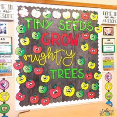 a bulletin board with apples on it that says tiny seed's grow mighty trees