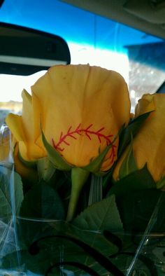 some yellow flowers are sitting in the back seat of a car with leaves on it