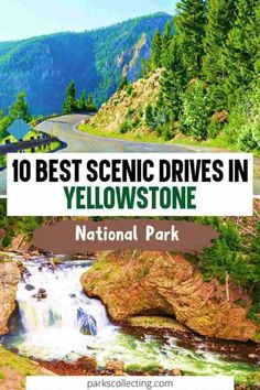 the scenic drive in yellowstone national park with text overlay