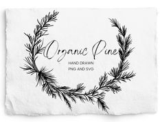 the logo for orange pine hand drawn font and svg