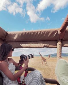 a woman taking a photo of giraffes in the wild with her camera