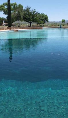 an empty pool with clear blue water and trees in the backgroung area