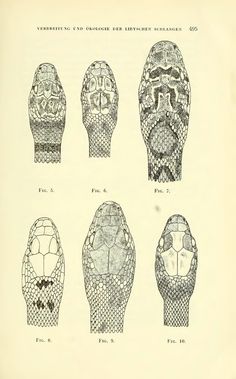 an old book with drawings of different types of shoes