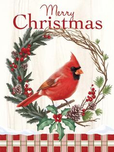 a christmas card with a cardinal sitting on a holly wreath, pine cones and berries