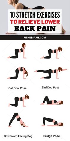 Relieve Lower Back Pain, Hip Flexibility, Exercise To Reduce Thighs, Back Stretches For Pain, Stretch Routine, Lower Back Pain Exercises, Yoga Kurse, Yoga Online, Light Exercise