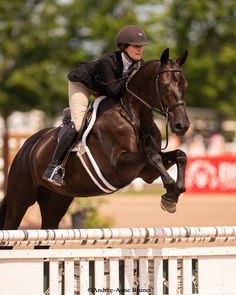 a person riding on the back of a brown horse jumping over a white fence with trees in the background