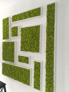 the wall is covered with moss and white squares