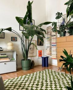 a living room filled with lots of plants next to a white dresser and bookshelf