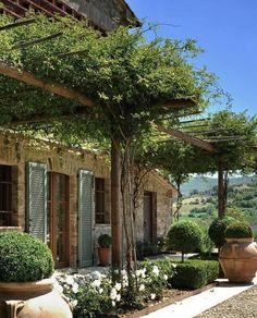 an outdoor area with potted plants and stone buildings in the background, surrounded by greenery