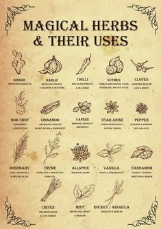 Magical Herbs & Their Uses - Poster - Media Chomp Herbs And Their Uses, Witchy Kitchen, Materi Bahasa Jepang, Magickal Herbs, Witch Herbs, Wiccan Magic, Magic Spell Book