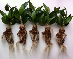 five baby dolls made out of roots and leaves