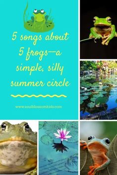 frog images with text that says 5 songs about frogs - a simple silly summer circle