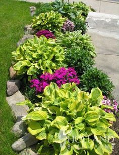 some plants are growing along the edge of a rock garden bed in front of a house