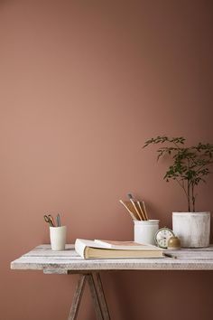 a desk with books, plants and pencils on it in front of a pink wall