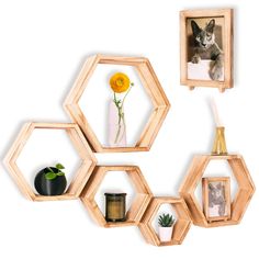 three wooden hexagonal shelves with pictures and flowers on them, one has a cat