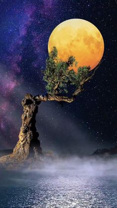 a tree that is in the middle of water with a full moon behind it and stars above