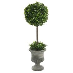 a small potted tree in a cement planter on a white background with clippings