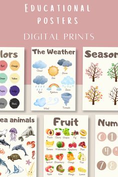 Educational posters - learning for toddlers and children Preschool Science Posters, Learning Charts For Toddlers, Homeschool Posters, Fruits Poster, Learning For Toddlers, Baby Handprint Art, Baby Handprint Crafts, Fruit Poster, First Birthday Posters