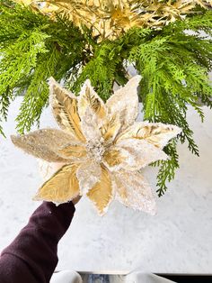 White and Gold Metallic Gold Poinsettia - HTS HOME DECOR Stem Christmas, Dimension 20, Poinsettia Flower, Christmas Poinsettia, Christmas Flowers, Crochet Flower Patterns, Crochet Diagram, Gold Christmas, Colorado Springs