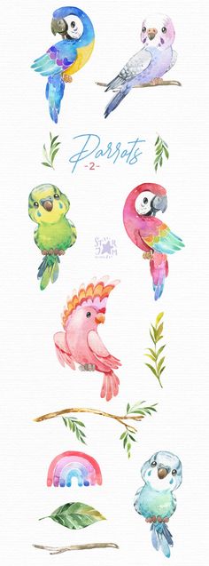 watercolor painting of birds and plants on white paper with the words parrots written in blue