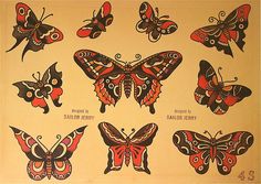 a group of butterflies with different designs on them