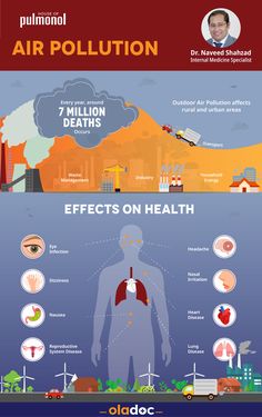 the effects of air pollution on health and life infographical poster by olladeco