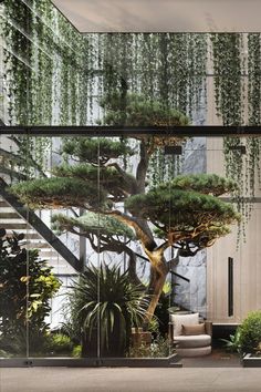 an indoor garden with trees and plants in glass walls, hanging from the ceiling to the floor