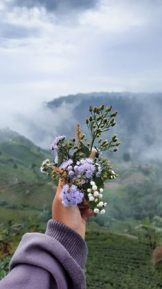 a person holding flowers in their hand on top of a hill with clouds and mountains in the background