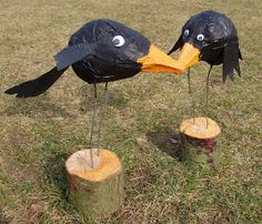 two black birds with yellow beaks are standing on wood stumps in the grass