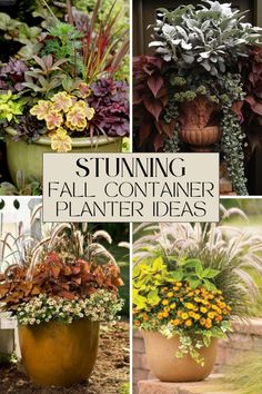 several different types of plants in pots with the words stunning fall container planter ideas