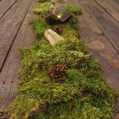 moss is growing on the side of a wooden plank with lights in it and some pine cones