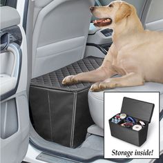 a dog sitting in the back seat of a car with its paw on an ottoman