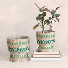 seagrass baskets with green stitching detail Seagrass Baskets, Grass Basket, Sweets Gift, Seagrass Basket, Notes Gift, Creative Co Op, Large Baskets, Book Candle, Green Accents