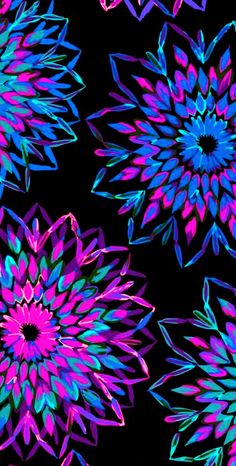 an image of colorful flowers that are on the black background with blue and pink colors