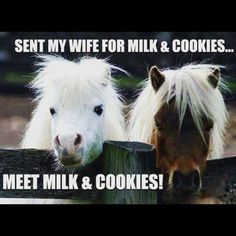 two horses standing next to each other behind a fence with caption that reads, sent my wife for milk & cookies meet milk and cookies