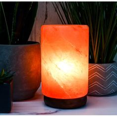 a light that is sitting on top of a table next to some potted plants