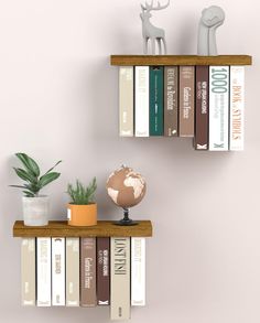 two bookshelves with different types of books on them and a plant in the middle