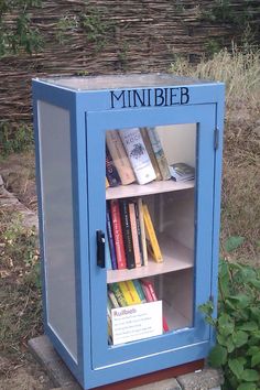 a small blue book case with books in it