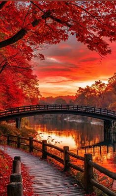 a wooden bridge over a river surrounded by fall leaves and trees with red foliage on the ground