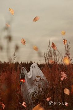 a car is parked in the middle of a field with leaves falling from it's windows